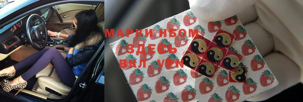 твердый Пересвет