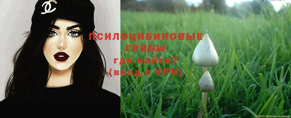 твердый Пересвет