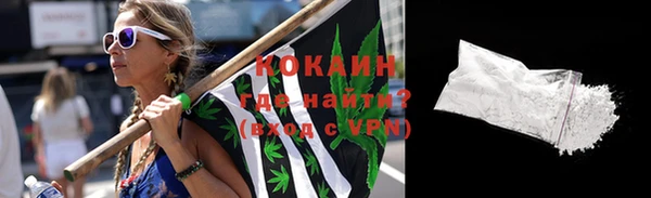 ГАЛЛЮЦИНОГЕННЫЕ ГРИБЫ Абаза