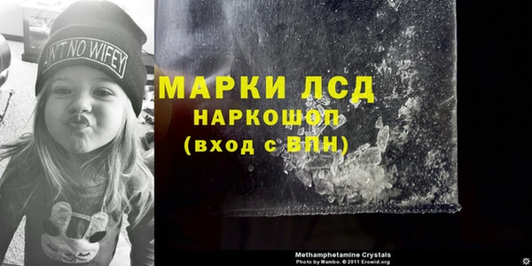 ГАЛЛЮЦИНОГЕННЫЕ ГРИБЫ Абаза