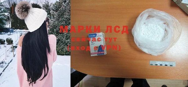 ГАЛЛЮЦИНОГЕННЫЕ ГРИБЫ Абаза
