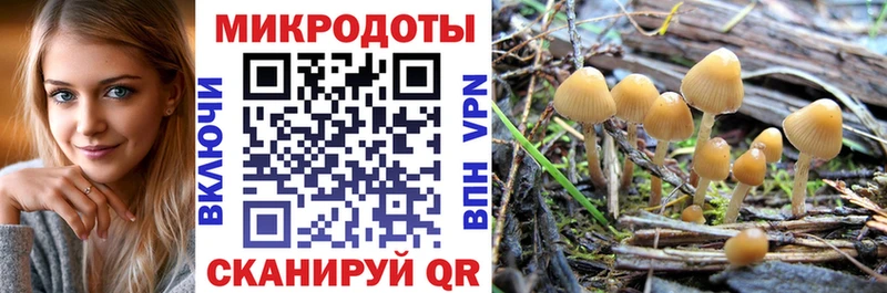 Галлюциногенные грибы Cubensis купить закладку Красновишерск